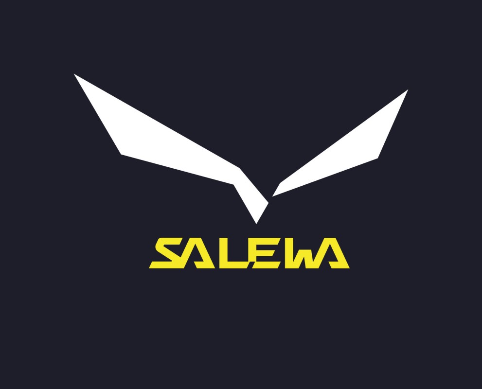2019 Salewa Logo neu 60 4c patched